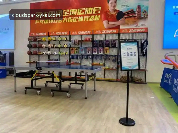 云开全站体育专业团队使用技巧深度评测：从入门到精通的实战指南